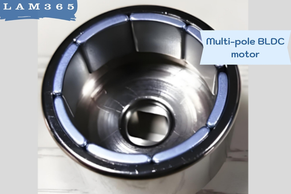 Multi-pole BLDC motor