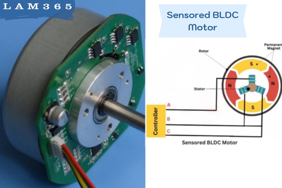 Sensored BLDC Motor