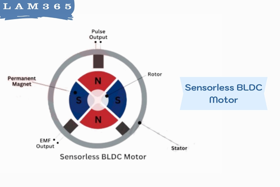 Sensorless BLDC Motor