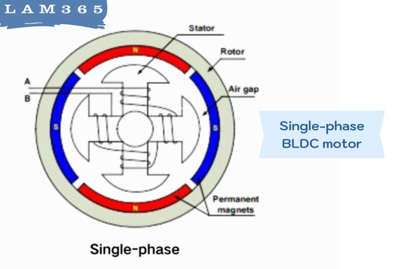 Single-phase BLDC motor