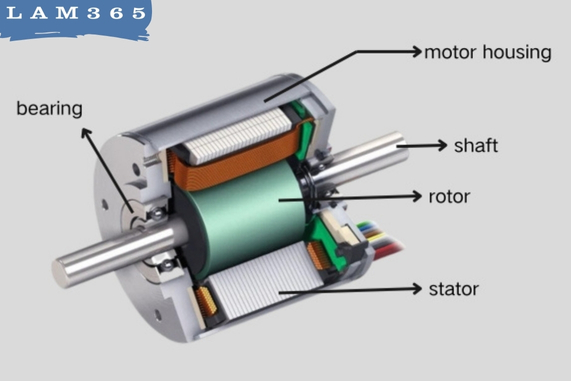 structure of brushless DC motor